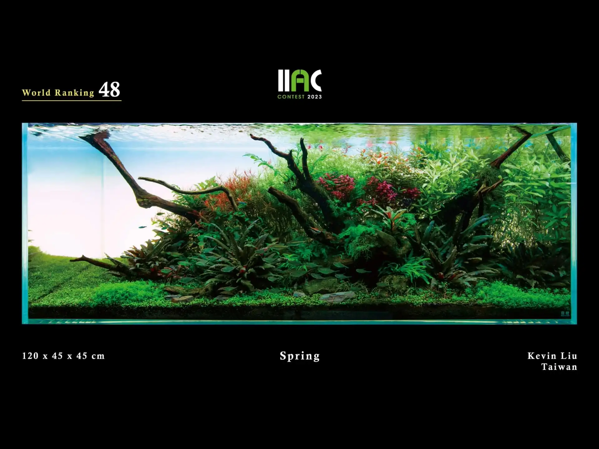 Spring - IIAC 2023 #48 Kevin / Taiwan